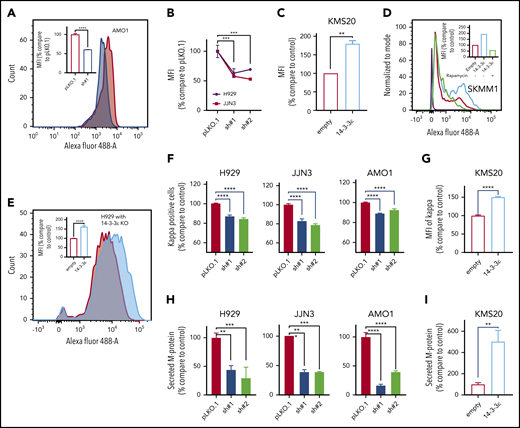 14-3-3ε modulation has a significant effect on protein synthesis and load in MM cells. (A) Protein synthesis was analyzed by flow cytometry in AMO1 cell line infected with either scrambled (pLKO.1) or 14-3-3ε-targeted shRNA. The overlay histogram plot shows mean fluorescent intensity (MFI) of incorporated l-homopropargylglycine (HPG) (Alexa Fluor 488) into proteins of pLKO.1 (red) and KD (blue) cells during active protein synthesis. In the inset, results are expressed as percentage change compared with pLKO.1 control cell. (B) Protein synthesis was analyzed by flow cytometry in H929 (black) and JJN3 (red) MM cell lines infected with either scrambled (pLKO.1) or 14-3-3ε-targeted shRNAs. Results are expressed as percentage change compared with each pLKO.1 control cell. (C) Protein synthesis was analyzed by flow cytometry in KMS20 MM cells infected with either pLenti6-empty (empty, red) or pLenti6-FLAG-YWHAE OE plasmid (14-3-3ε, blue), expressed as percentage change compared with control cells. (D) Protein synthesis was analyzed by flow cytometry in SKMM1 MM cells infected with either pLenti6-empty (empty) or pLenti6-FLAG-YWHAE OE plasmid (14-3-3ε). The overlay histogram plot shows MFI of incorporated HPG (Alexa Fluor 488) into proteins of empty control (red), 14-3-3ε OE (blue), and 14-3-3ε OE cells treated with rapamycin (5 μM, 24 hours; green) during active protein synthesis. The purple histogram represents the negative control. In the inset, results are expressed as percentage of empty control cells. (E) Flow cytometry evaluation of protein synthesis in H929 KO MM cells infected with either pLenti6-empty (empty) or pLenti6-FLAG-YWHAE OE plasmid (14-3-3ε). The overlay histogram plot shows MFI of incorporated HPG (Alexa Fluor 488) into proteins of empty (red) and addback (blue) cells. In the inset, results are expressed as percentage change compared with control cells. (F-G) Flow cytometry analysis of clonal cytoplasmic κ light chain expression in 14-3-3ε KD (F) or OE (G) MM cell line. Results are expressed as percentage change compared with each control cells. (H-I). Secreted M protein was evaluated by ELISA assay in 14-3-3ε KD (H) or OE (I) MM cell line. Results are expressed as percentage change compared with control cells. Data were analyzed using unpaired Student t tests: *P ≤ .05; **P ≤ .01; ***P ≤ .001; ****P ≤ .0001.