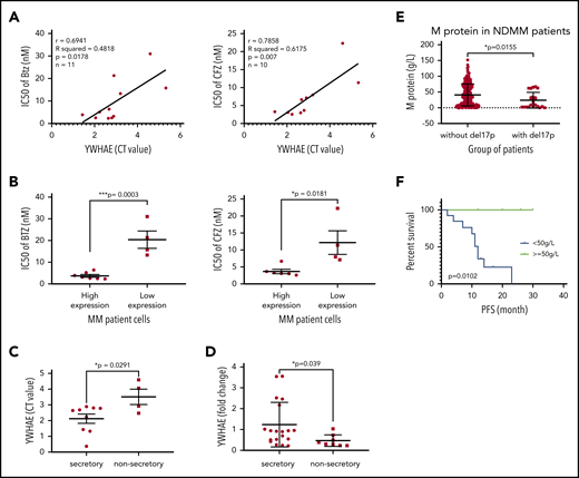 14-3-3ε expression level influences PI sensitivity and protein load in primary MM cells. (A) CD138+ cells from bone marrow aspirates of 11 patients with MM were assessed for 14-3-3ε (YWHAE) mRNA expression and sensitivity to PIs. YWHAE mRNA expression was assessed by quantitative polymerase chain reaction and presented as cycle threshold (CT) values (a higher value indicates lower mRNA expression). Cell viability was assessed by CTG after 24 hours of treatment in the presence of different concentrations of BTZ or CFZ, and IC50 values were calculated by GraphPad Prism 8. Pearson correlation analysis showed a significant correlation between 14-3-3ε mRNA expression level and IC50 for BTZ and CFZ treatment. (B) Comparison of BTZ and CFZ IC50 average between the 2 groups of patients with MM with high and low 14-3-3ε expression, respectively, using an unpaired Student t test. (C) Comparison of YWHAE levels in secretory and nonsecretory patients based on their M-spike levels. (D) YWHAE levels in secretory vs nonsecretory patients in a Chinese cohort of patients with MM (n = 27). (E) CD138+ cells from bone marrow aspirates were assessed for del17p status by FISH. M-protein levels in patients with del17p (n = 21) vs without del17p (n = 249) are reported in the graph. (F) PFS in del17p MM patients with different M protein levels undergoing BTZ-based therapy.
