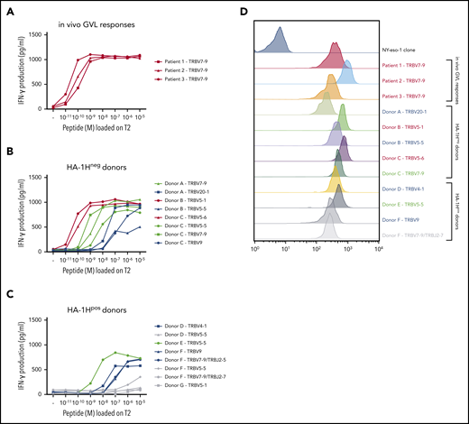 Functional screening and tetramer staining of CD8pos HA-1H–specific T-cell clones. HA-1H–specific T-cell clones were stimulated with HLA-A*02:01pos TAP-deficient T2 cells exogenously loaded with a titration of the HA-1H peptide. IFN-γ production was assessed in a standard enzyme-linked immunosorbent assay (ELISA) (R:S ratio, 1:6). Clones in red were classified as high avidity, clones in green as intermediate avidity, clones in blue as low avidity, and clones in gray as not functional. Results of representative unique clones are depicted. (A) High avidity HA-1H–specific T-cell clones isolated from 3 patients during an in vivo GVL response after alloSCT. (B) HA-1H–specific T-cell clones isolated from 3 HA-1Hneg/HLA-A*02:01pos healthy donors. (C) HA-1H–specific T-cell clones isolated from 4 HA-1Hpos/HLA*02:01pos healthy donors. (D) Intensity of HA-1H tetramer staining for a selection of obtained HA-1H–specific T-cell clones. An NY-eso-1-SLL–specific T-cell clone was included as negative control.
