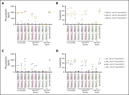 Recognition of endogenously processed HA-1H by high- and intermediate-avidity HA-1H–specific T-cell clones. T-cell clones underlined in red were classified as high avidity and clones underlined in green as intermediate avidity based on the functional screening with exogenously loaded peptide (Figure 1A-C). Results of representative unique clones are depicted. (A) IFN-γ production by HA-1H–specific T-cell clones after stimulation with an EBV-LCL panel containing 4 HA-1Hpos/HLA*02:01pos targets, 1 HA-1Hpos/HLA*02:01neg target, and 1 HA-1Hneg/HLA*02:01pos target (R:S ratio, 1:6). A representative example of 3 experiments is shown. (B) Cytotoxic activity of HA-1H–specific T-cell clones against the same EBV-LCL panel. Cytotoxicity was measured in a standard 51chromium-release assay at an E:T ratio of 10:1. Symbols represent median percentages of lysis of triplicates. (C) IFN-γ production by HA-1H–specific T-cell clones after stimulation with a panel of primary malignant samples, containing 2 HA-1Hpos /HLA*02:01pos ALL samples, 3 HA-1Hpos/HLA*02:01pos AML samples, 1 HA-1Hpos/HLA*02:01neg AML sample, and 1 HA-1Hneg/HLA*02:01pos AML sample (R:S ratio, 1:6). (D) Cytotoxic activity of HA-1H–specific T-cell clones against the same panel of primary malignant samples. Cytotoxicity was measured in a standard 51chromium-release assay (E:T ratio, 10:1). Symbols represent median percentages of lysis of triplicates.