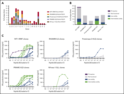 Functional screening of CD8pos TAA-specific T-cell clones derived from HLA-A*02:01pos donors. (A) Minimal numbers of unique T-cell clones per TAA specificity isolated from 18 donors. (B) Summary of classification of unique TAA-specific T-cell clones based on IFN-γ production after overnight stimulation with TAP-deficient T2 cells exogenously loaded with a titration of the respective peptide (R:S ratio, 1:6). (C) Results of this functional screening per TAA specificity. Clones depicted in green were classified as intermediate avidity, clones depicted in blue as low avidity, clones depicted in gray as not functional, and clones depicted in purple as T2-reactive T-cell clones. Representative examples of unique clones are depicted. NS, not stimulated.