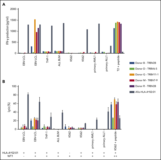 Recognition of endogenously processed WT1 by intermediate-avidity WT1-RMF–specific T-cell clones. The 5 WT1-RMF–specific T-cell clones of intermediate avidity were tested against EBV-LCL transduced with the empty vector (mock) or with the vector encoding the full protein sequence of WT1, AML cell line THP-1, ALL cell line BLM, and chronic myeloid leukemia cell line K562 wild-type and transduced with HLA-A*02:01, 5 primary AML samples, and 3 primary ALL samples (2 representative primary samples with relatively high WT1 expression are depicted). An allo-HLA-A*02:01–reactive T-cell clone was included as positive control for HLA-A*02:01 expression and costimulatory capacity of the target cells. T2 or K562 transduced with HLA-A*02:01 and loaded with peptide were included as positive control for functional reactivity of clones. The HLA-A*02:01 and TAA expression of the target cells is indicated as negative (–) or positive (+) below the x-axis. (A) IFN-γ production was measured by using an ELISA after overnight stimulation (R:S ratio, 1:6). Representative example of 3 experiments is shown. (B) Cytotoxic capacity was measured in a standard 51chromium-release assay (E:T ratio, 10:1). Mean of triplicates with standard deviation is depicted.