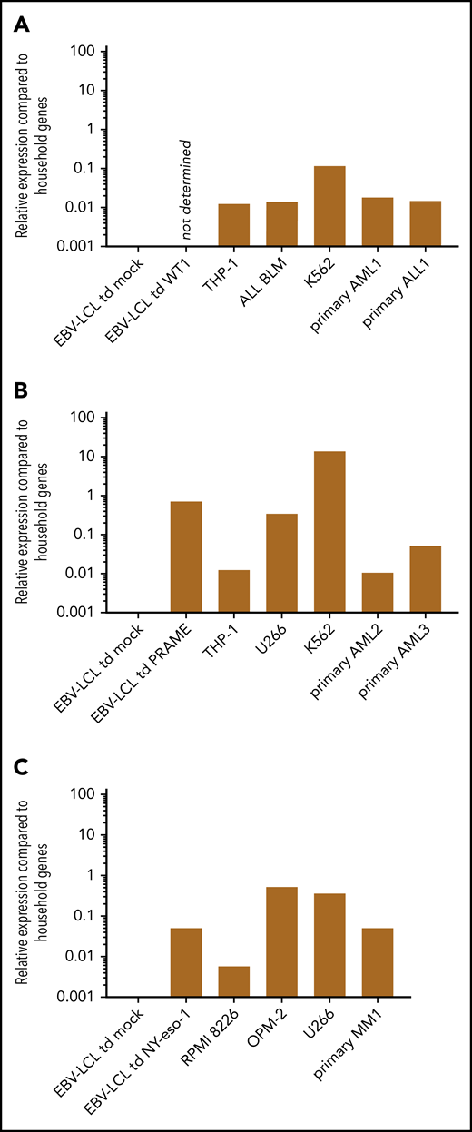 Relative expression of TAA in different target cell lines and primary samples measured by RT-qPCR. The expression of the indicated TAA is calculated relative to expression of 2 household genes (ACTB and GAPDH). A relative expression of 1 means equal expression compared with the average expression of these household genes. (A) The expression of WT1 could not be determined in EBV-LCL transduced with the retroviral vector encoding the codon-optimized protein sequence of WT1, as a suitable primer was not available. Expression of WT1 in EBV-LCL transduced mock, THP-1, ALL BLM, and K562 cell line and 2 representative primary AML and ALL samples are depicted. (B) Expression of PRAME in EBV-LCL transduced mock and PRAME, THP-1, U266, K562 cell line, and 2 representative primary AML samples are depicted. (C) Expression of NY-eso-1 in EBV-LCL transduced mock and NY-eso-1, MM cell lines RPMI 8226, OPM-2, and U266, and 1 representative primary MM sample are depicted.