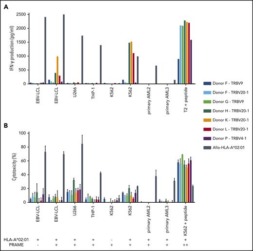 Functional reactivity of intermediate-avidity PRAME-VLD–specific T-cell clones against targets endogenously overexpressing PRAME. The 7 PRAME-VLD–specific T-cell clones of intermediate avidity were tested against EBV-LCL transduced with the empty vector (mock) or with the vector encoding the full protein sequence of PRAME, MM cell line U266, AML cell line THP-1, and the chronic myeloid leukemia cell line K562 wild-type or transduced with HLA-A*02:01, 6 primary AML samples, and 2 primary ALL samples (2 representative primary samples with relatively high WT1 expression are shown). An allo-HLA-A*02:01–reactive T-cell clone was included as positive control for HLA-A*02:01 expression and costimulatory capacity of the target cells. T2 or K562 transduced with HLA-A*02:01 and loaded with peptide were included as positive control for functional reactivity of clones. The HLA-A*02:01 and TAA expression of the targets is indicated as negative (–) or positive (+) below the x-axis. (A) IFN-γ production was measured by using an ELISA after overnight stimulation (R:S ratio, 1:6). Representative example of 3 experiments is shown. (B) Cytotoxic capacity was measured in a standard 51chromium-release assay (E:T ratio, 10:1). Mean of triplicates with standard deviation is depicted.