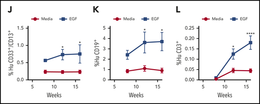 EGF treatment promotes recovery of human HSCs following irradiation. (A) Immunofluorescence microscopy of γ-H2AX foci in nonirradiated and 300-cGy–irradiated human BM CD34+ cells cultured in complete media (TSF) with and without 100 ng/mL EGF for 1 hour (scale bar, 10 µm). Numbers of foci per cell are quantified (n = 24-27 fields of view, 1-way ANOVA) (left panel). Nonirradiated (Non-IRR) or 300-cGy–irradiated human BM CD34+ cells were treated with EGF or saline for 5 minutes and analyzed for p-EGFR (B), p-Akt (C), p-DNA-PKcs (D), and p-Artemis (E) levels (n = 4 per group, 2-way ANOVA). (B) Representative flow cytometric analysis of p-EGFR in BM CD34+ cells (left panel). Quantification of the percentage of p-EGFR (right panel). (C) Representative analysis of p-Akt in BM CD34+ cells (left panel). Quantification of the percentage of p-Akt (right panel). (D) Representative analysis of p-DNA-PKcs in BM CD34+ cells (left panel). Quantification of the percentage of p-DNA PKcs (right panel). (E) Representative analysis of p-Artemis in BM CD34+ cells (left panel). Quantification of the percentage of p-Artemis (right panel). (F) XRCC6 gene expression in human BM CD34+ cells following 300-cGy irradiation and treatment with EGF or saline for 1 hour. Non-IRR BM CD34+ cells cultured for 1 hour were used as control (n = 3, mean ± SEM, 1-way ANOVA). (G) Representative flow cytometric analysis of human CD34+CD38− HSPCs in culture at 36 hours following 300-cGy irradiation of BM CD34+ cells and treatment with media with or without EGF and with or without NU7441 (left panel). Mean percentages of CD34+CD38− cells (n = 5 per group, 1-way ANOVA) (right panel). (H) Numbers of CFCs after 36 hours of culture of BM CD34+ cells following 300-cGy irradiation and treatment with or without EGF and with or without NU7441 (n = 6, mean ± SEM, 2-way ANOVA). (I) Representative human CD45+ cell engraftment in PB of NSG-S mice at 16 weeks following transplantation of irradiated BM CD34+ cells cultured in media + EGF for 36 hours or irradiated BM CD34+ cells cultured in media alone (left panel). Time course of human CD45+ hematopoietic cell engraftment in PB of NSG-S mice (n = 7 or 8, mean ± SEM, 2-way ANOVA) (right panel). Time course of human CD33+/CD13+ myeloid cell engraftment (J), human CD19+ B-cell engraftment (K), and human CD3+ T-cell engraftment (L) in NSG-S mice (n = 7 or 8, mean ± SEM, 2-way ANOVA). *P < .05, **P < .01, ***P < .001, ****P < .0001.