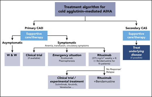 Current treament options for cold agglutinin–mediated AIHA. AIHA, autoimmune hemolytic anemia; W & W, watch and wait.