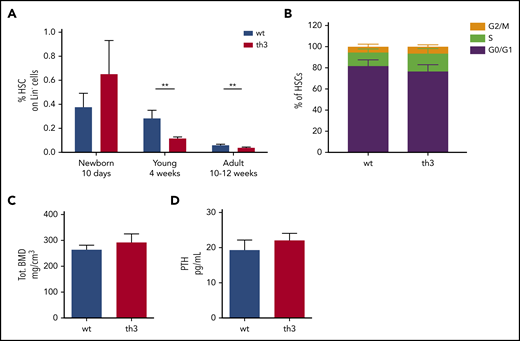 Evaluation of HSCs and bone features in newborn th3 mice. (A) Frequency of HSCs on BM Lin− cells from WT and th3 mice at different ages. WT, n ≥ 5 mice per group; th3, n ≥ 5 mice per group. (B) Analysis of cell cycle distribution among G0/G1, S, and G2/M phases by cytofluorimetry after 7-AAD staining of HSCs from newborn WT and th3 mice. WT, n = 7; th3, n = 7. (C) Total BMD of tibiae from newborn mice analyzed by pQCT. WT, n = 9; th3, n = 6. (D) Evaluation of PTH levels in sera from newborn mice. WT, n = 3; th3, n = 3. **P < .01