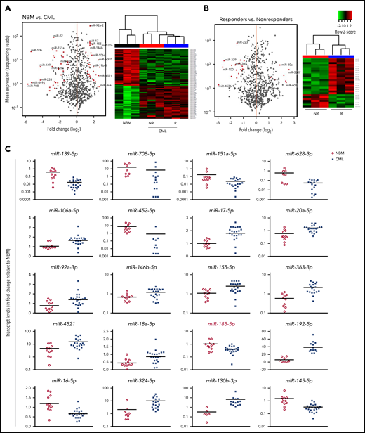 Differentially expressed miRNAs are identified in primary CD34+ CML cells. (A) DESeq2 analysis of differentially expressed miRNAs in CD34+ cells, comparing 3 NBM and 6 CML samples (3 IM responders and 3 IM nonresponders). Plots show the distribution of differentially expressed miRNAs, representing the fold-change between CML relative to NBM (left panel). Red dots represent the differentially expressed miRNAs with adjusted P values < .05. G plots package was used to plot heat maps, accompanied with unsupervised dendrogram analysis, based on the differentially expressed miRNAs with adjusted P values < .05 (right panel). (B) Similar analyses performed for miRNAs found to be differentially expressed between IM responders (R) and IM nonresponders (NR). (C) Differentially expressed miRNAs were determined using a TaqMan qPCR microfluidics device on extracts of CD34+ cells obtained from NBM (n = 11) and CML samples (n = 22). Raw Ct values obtained from the 96-well multiplexing microfluidics device were organized using the HTqPCR package and normalized using the quantile method with the limma package. A nonparametric Mann-Whitney U test was performed to compare unpaired samples. Levels of 20 of the miRNAs tested were shown to be different between CD34+ NBM and CML cells. Data points represent quantile-normalized Ct values relative to CD34+ NBM cells. All comparisons shown are statistically significant (Benjamini-Hochberg-adjusted P value < .05).