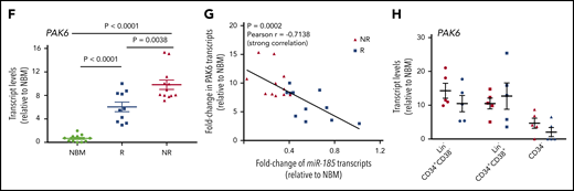 RNA-seq analysis identifies increased expression of OXPHOS and ROS gene signatures in TKI nonresponder cells and PAK6 as a target of miR-185. (A) DESeq2 analysis of differentially expressed genes from the same 9 RNA samples used for miRNA profiling and a comparison of genes expressed differentially in CD34+ cells from NBM (n = 3) vs CML (n = 6, top panel) samples and IM responder (n = 3) vs IM nonresponder (n = 3, bottom panel) samples. Red dots represent differentially expressed genes with adjusted P values < .05 between these samples. (B) Gene set enrichment analysis plots for OXPHOS and ROS pathways, with nominal enrichment scores. (C) Heat maps of miR-185-predicted target genes identified in CD34+ cells from NBM vs CML cells. (D) qRT-PCR analysis of miR-185 expression in IM-resistant K562R cells, CD34+ IM responder (n = 3) and IM nonresponder (n = 3) cells transduced with a miR-185-expressing vector or a pRRL control vector and incubated with or without IM (5.0 µM) for 24 hours. (E) Western blot analysis of several key signaling proteins in miR-185-transduced K562R cells, PAK6 siRNA-transfected K562R cells, and control cells cultured with or without IM (5.0 µM) for 24 hours. ACTIN served as loading control. (F-H) qRT-PCR analyses of the transcript levels of PAK6 in CD34+ cells from NBM vs IM responders (R) or IM nonresponders (NR). Correlation analysis of PAK6 and miR-185 expression in responder and nonresponder patients (G), and PAK6 transcript levels in CD34 subpopulations from responders vs nonresponders. P values were calculated using a 2-tailed paired (Figure 6F) or unpaired Student t test. Ctrl = control.