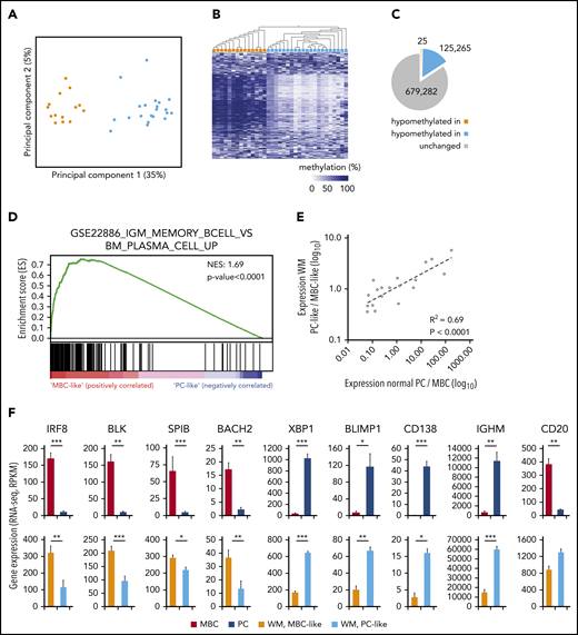 Genome-wide DNA methylation patterns define 2 subtypes of WM with transcriptional signatures reminiscent of normal plasma and MBCs. (A) PCA of the 10 000 most-variable CpG methylation levels from Illumina EPIC arrays across 35 WM patients. Samples are colored according to hierarchical clustering in panel B (orange, MBC-like; blue, PC-like). (B) Heat map showing the methylation levels of the top 1000 most-variable CpGs across patients. WM patients are arranged by hierarchical clustering (blue, methylated; white, unmethylated). (C) Pie chart displaying the number of CpGs that displays relative hypomethylation between subgroups defined by mean difference >20%, false-discovery rate q < 0.05. The number of CpGs is indicated (D) GSEA output showing highly significant enrichment of a plasma vs MBC expression signature between WM methylation subgroups. NES, normalized enrichment score. (E) Correlation of differential expression between WM subgroups and normal MBCs compared with PCs. A set of 19 genes previously defined to be important for PC differentiation was extracted from RNA sequencing data. (F) Histograms showing the expression levels of 9 of 19 genes significantly differentially expressed between MBCs and PCs in both normal and WM subtypes. Significance assessed by Student t test; *P < .05; **P < .01; ***P < .001. RPKM, reads per kilobase of transcript, per million mapped reads.
