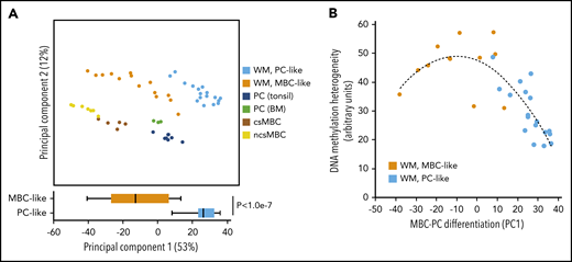 Comparison of DNA methylation patterns of WM patients with normal cells reveals a range of overall differentiation states. (A) PCA of WM patients and normal MBC subsets and PCs using the 1000 most-variable CpGs among normal cells. (bottom) Comparison of the degree of differentiation between WM subtypes as assessed by PC1. (B) Comparison of differentiation with intratumor heterogeneity of DNA methylation patterns. Samples showing an intermediate degree of maturity displayed highest heterogeneity of methylation patterns, suggesting these samples are a mixture of cells with MBC-like and PC-like states.