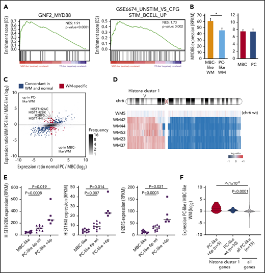 WM subgroups show differential TLR/MYD88 pathway activation and histone expression. (A) GSEA comparing MBC-like and PC-like WM patients revealed strong enrichment of the MYD88 neighborhood and CpG stimulation of B cells indicative of enhanced TLR signaling in MBC-like WM. (B) Elevation of MYD88 expression in MBC-like vs PC-like WM patients (P = .024) not observed in normal donor MBC vs PC. (C) Analysis of MBC-like vs PC-like WM subtype-specific gene expression accounting for differences that occur in normal donor MBC/PCs. Scatterplot comparing differential gene expression between normal MBC/PC (x-axis) and WM subtypes (y-axis) of all genes (gray dots). Genes differentially expressed between MBC-like and PC-like WM (fold change >1.5, q < 0.05) are highlighted in red with those that show concordant expression differences between normal donor MBC vs PC in blue. Histone genes showing discordant overexpression in PC-like WM are highlighted. (D) Genomic profile across chromosome 6 in patients showing gain of chr6p. All +6p patients also show loss of 6q. One patient (WM5) with no copy number alterations on chromosome 6 is shown for reference. Histone cluster 1 is gained in all patients with +6p. (E) Expression levels of selected discordantly expressed histone genes in MBC-like and PC-like WM separated by chromosome 6p status. (F) Expression of all histone genes in cluster 1 (n = 49) in PC-like vs MBC-like WM separated by chromosome 6p status. Expression of histone cluster 1 genes in PC-like relative to MBC-like WM patients is significantly elevated relative to all other expressed genes (n = 14 069). P values assessed by Kruskal-Wallis and post hoc Mann-Whitney tests.