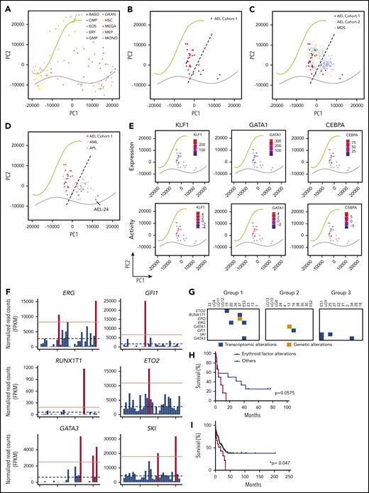 Transcriptome-based mapping and aberrant erythroid regulators in AEL. (A) PCA of data from Differentiation Map (DMAP)33 with regression to cell types in an erythroid and myeloid compartment. The regression line fits to erythroid (green) and myeloid (gray) cells in the PCA space of genes significantly (FDR > 0.05, LogFC > 2) segregating each hematopoietic population: basophiles (BASO), common myeloid progenitor cells (CMP), eosinophil (EOS), erythrocytes (ERY), granulocyte-monocyte progenitor cells (GMP), granulocytes (GRAN), hematopoietic stem cells (HSC), megakaryocytes (MEGA), megakaryocytes-erythroid progenitor cells (MEP), and monocytes (MONO). (B) PCA with regression lines from plot (A) with projection of AEL patient samples. (C) PCA with regression lines from plot (A) with projection of AEL patient samples from our cohort (AEL cohort 1), from Iacobucci et al36 (AEL cohort 2) and MDS samples.39,40 (D) PCA with regression lines from plot (A) with projection of our AEL patient samples, AML and APL samples from the Blueprint consortium database. (E) PCA with regression lines from plot (A) with projection of AEL patient samples colored with KLF1, GATA1, and CEBPA expression and predicted activity. (F) Histogram representation of ERG, GFI1, RUNX1T1, ETO2, GATA3, and SKI gene expression in AEL patients. Positive patient samples (red bars) were defined as presenting an expression above the threshold set as fourfold the average of AEL samples. Dotted bars represent the average expression of AEL samples. (G) Table indicate patient samples presenting with genetic alteration (orange) or transcriptional alteration (blue) of GATA1-associated genes67-70 in 3 molecular subgroups of AEL: TP53-mutated, epigenetics, and others. (H) Kaplan-Meier survival plot of AEL patients grouped according to the presence (or absence) of genetic or transcriptional alterations defined in panel G. P value using log-rank Mantel-Cox test is indicated. (I) Kaplan-Meier survival plot of AEL patients from Iacobucci et al36 and grouped according to the presence (or not) of genetic or transcriptional alterations defined in panel G. P value using log-rank Mantel-Cox test is indicated.