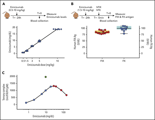 An emicizumab-responsive mouse model. (A) Mice received emicizumab (0-10 mg/kg) via retro-orbital infusion. Plasma samples obtained 24 hours after infusion were used to determine circulating emicizumab levels, expressed as milligrams per deciliter. Each data point represents an individual mouse. (B) FVIII-deficient mice previously infused with emicizumab (1.5-10 mg/kg), received a cocktail containing human FIX (hFIX) and FX (both 100 U/kg) via retro-orbital infusion. Plasma samples obtained 5 minutes after infusion were used to determine circulating levels of human FIX (left y-axis) and FX (right y-axis) antigen (Ag), expressed as units per deciliter. Each data point represents an individual mouse, and pooled data from the various emicizumab doses are shown. (C) Based on the reported affinity of emicizumab (Emi) for FIX (1.85 μM) and FX (1.58 μM) and the respective concentrations of emicizumab (0.7-18.6 mg/dL), FIX (85 U/dL), and FX (100 U/dL) in our model (see panels A-B), the concentration of the ternary emicizumab/FIX/FX complex for each emicizumab dose used in this study (blue symbols) was calculated as described.4 Higher doses of emicizumab will not further increase ternary complex formation, and may even lead to reduced ternary complex formation (red symbols). In contrast, increasing FIX and/or FX concentrations would allow for higher concentrations of ternary complexes (eg, green symbol: 9.6 mg/dL emicizumab, 200 U/kg FIX, 100 U/kg FX)