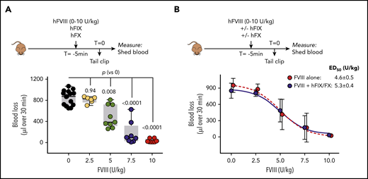 In vivo dose response of FVIII in FVIII-deficient mice. (A) FVIII-deficient mice received a mixture of FVIII (0-10 U/kg), human FIX (100 U/kg), and human FX (100 U/kg) via retro-orbital infusion. Five minutes after infusion, the terminal 3 mm of the tail was amputated, and shed blood was collected for 30 minutes. Presented is blood loss over 30 minutes vs FVIII dose. Each data point represents an individual mouse. Statistical analysis was performed via 1-way ANOVA with Dunnett multiple comparison. (B) Data presented in panel A but depicted as mean plus or minus SD (n = 6-9; blue symbols). A similar dose-response curve was generated in the absence of human FIX and FX (n = 6 per dose; red symbols). ED50, half-maximal effective dose.