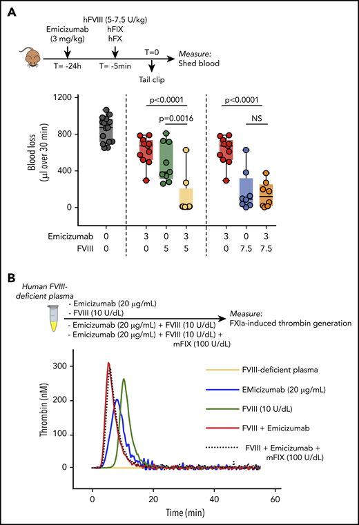 Combined activity of FVIII and emicizumab. (A) Emicizumab (3 mg/kg given 24 hours before tail bleeding) and FVIII (5 or 7.5 U/kg given 5 minutes before tail bleeding) were given separately or in combination together with human FIX/FX (100 U/kg) to FVIII-deficient mice as described for Figures 3 and 4. Each data point represents an individual mouse. Data for FVIII without emicizumab are similar to those presented in Figure 3A, and data for emicizumab without FVIII are similar to those presented in Figure 4B. Statistical analysis was performed via 1-way ANOVA with Tukey multiple comparison. Data of mice receiving only FIX/FX (but no emicizumab or FVIII) are similar as those presented in Figure 3A. (B) FXIa-induced thrombin generation of human FVIII-deficient plasma (orange), which was spiked with emicizumab (20 μg/mL; blue), FVIII (10 U/dL; green), or both in the absence (red) or presence (black dotted line) of recombinant murine FIX (mFIX; 100 U/dL). Thrombogram is representative for 3 independent experiments. NS, not significant.