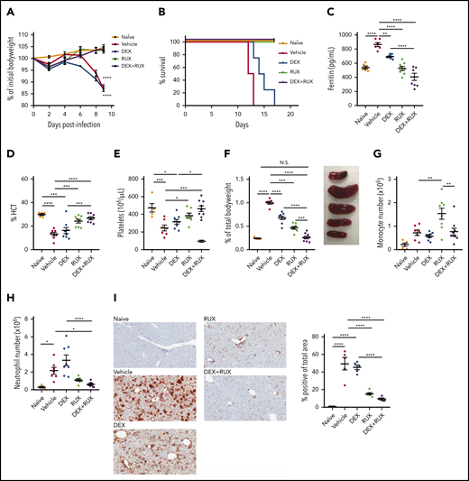 The combination of DEX and RUX cooperatively attenuates disease manifestations in an in vivo model of HLH. (A) Bodyweight over time relative to baseline bodyweight of naïve mice and vehicle- and drug-treated LCMV-infected mice. Statistical significance is relative to the naïve condition. (B) Survival of naïve mice and vehicle- and drug-treated LCMV-infected mice. (C) Plasma ferritin levels in naïve mice and vehicle- and drug-treated LCMV-infected mice on day 9 postinfection. (D) Hematocrit (HCT) values in naïve mice and vehicle- and drug-treated LCMV-infected mice on day 9 postinfection. (E) Platelet count in naïve mice and vehicle- and drug-treated LCMV-infected mice on day 9 postinfection. (F) Spleen weight as percentage of initial bodyweight and representative spleen images from naïve and vehicle- and drug-treated LCMV-infected mice on day 9 postinfection. (G) Number of monocytes in spleens from naïve and vehicle- and drug-treated LCMV-infected mice on day 9 postinfection. (H) Number of neutrophils in spleens from naïve and vehicle- and drug-treated LCMV-infected mice on day 9 postinfection. (I) Representative histologic images and percentage of total area staining positively for Ly6B.2 in livers from naïve and vehicle- and drug-treated LCMV-infected mice on day 9 postinfection. Statistical significance was assessed using 1-way ANOVA with Tukey’s method for multiple comparisons adjustment (A, C-I). With the exception of panels B and I, all data represent a combined analysis of 2 independent experiments. ****P < .0001; ***P < .001; **P < .01; *P < .05.