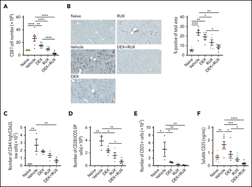The combination of DEX and RUX cooperatively attenuates CD8 T cell number and markers of CD8 T cell activation in an in vivo model of HLH. (A) Number of splenic CD8 T cells in naïve and vehicle- and drug-treated LCMV-infected mice on day 9 postinfection. (B) Representative histologic images and percentage of total area staining positively for CD3 in livers from naïve and vehicle- and drug-treated LCMV-infected mice on day 9 postinfection. (C) Number of CD44 high/CD62L low cells in spleens from naïve and vehicle- and drug-treated LCMV-infected mice on day 9 postinfection. (D) Number of CD28 and ICOS double-positive cells in spleens from naïve and vehicle- and drug-treated LCMV-infected mice on day 9 postinfection. (E) Number of CD25-positive CD8 T cells in spleens from naïve and vehicle- and drug-treated LCMV-infected mice on day 9 postinfection. (F) Levels of soluble CD25 in plasma from naïve and vehicle- and drug-treated LCMV-infected mice on day 9 postinfection. Statistical significance was assessed using 1-way ANOVA with Tukey’s method for multiple comparisons adjustment (A-F). The data in panels A and F represent a combined analysis of 2 independent experiments. ****P < .0001; ***P < .001; **P < .01; *P < .05.