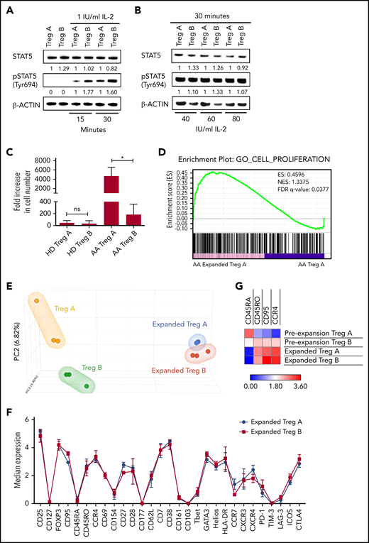 IL-2 responsiveness and in vitro expandability of Treg-A and Treg-B. (A-B) Western blot analysis of STAT5 and pSTAT5 protein expression in Treg-A and Treg-B after treatment with 1, 40, 60, or 80 IU/mL of human IL-2 for 15 or 30 minutes. β-ACTIN protein level is used as a loading control, and numbers represent the densitometric quantification of STAT5 and pSTAT5 protein expression levels normalized to β-ACTIN. (C) The expansion rate of Treg-A and Treg-B from HD (n = 6) and AA patients (n = 3). Treg-A and Treg-B were stimulated with anti-CD3/CD28 beads (1 cell:1 bead ratio) and 1000 IU/mL IL-2 for 4 weeks with 2 μM ATRA and 100 nM rapamycin in Prime XV T-cell expansion XSFM medium. Error bars represent mean ± SD. *P ≤ .05; ns, not significant. (D) GSEA enrichment plot shows the significant enrichment of gene set for cell proliferation in AA-expanded Treg-A compared with Treg-A before expansion. However, gene set of cell proliferation was not enriched in expanded HD Treg-A as compared with preexpansion Treg-A. This finding suggests the higher “expansion potential” of AA Treg-A compared with HD Treg-A. ES, enrichment score; NES, normalized enrichment score. (E) PCA analysis on transcriptional profiles in AA Treg-A as well as Treg-B before and after expansion. (F) Chart shows the median expression of 29 markers measured by CyTOF analysis in HD-expanded Treg-A (n = 3) and Treg-B (n = 3). Error bars represent mean ± SD. (G) Heat map shows the median expression of Treg-B–specific markers (CD45RA, CD45RO, CD95, and CCR4) in HD Treg-A (n = 3) and Treg-B (n = 3) before and after expansion.