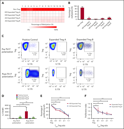 Stability, plasticity, and functionality of in vitro expanded Treg-A and Treg-B. (A) Representative methylation status of TSDR in HD-expanded Treg-A, HD-expanded Treg-B, AA-expanded Treg-A, and AA-expanded Treg-B compared with non-Treg. (B) Bar chart shows the percentage of methylation in HD-expanded Treg-A (n = 2), HD-expanded Treg-B (n = 2), AA-expanded Treg-A (n = 3), AA-expanded Treg-B (n = 3), and non-Treg (n = 2). (C) Representative plots show the percentage of IL-17A+ population in expanded Treg-A and Treg-B cultured with anti-CD3/CD28 beads (Treg:bead ratio = 6.25:1), 10 ng/mL IL-1b, 25 ng/mL IL-6, and 10 IU/mL IL-2 for 5 days and stimulated with Leukocyte Activation Cocktail, with BD GolgiPlug. The x-axis indicates log fluorescence intensity of IL-17A APC. Th17, T-helper 17 cell. (D) Chart shows the mean fluorescence intensity (MFI) quantification of IL-17A staining. Error bars represent mean ± SD. *P ≤ .05. (E) The percentage of proliferation of CFSE-stained Tcon cells when cocultured with autologous HD and AA-expanded total Tregs in 8:1, 4:1, 2:1, and 1:1 Tcon:Treg ratios for 5 days in the presence of anti-CD3/CD28 beads (Treg:beads = 20:1). (F) The proliferation index of CFSE-stained Tcon cells when cocultured with autologous AA-expanded Treg-A or Treg-B in 8:1, 4:1, 2:1, and 1:1 Tcon:, Treg ratios for 5 days in the presence of anti-CD3/CD28 beads (Treg:, beads = 20:1). Error bars represent mean ± SD. **P ≤ .01; ***P ≤ .001. (G) Representative proliferation plots of CFSE-stained Tcon cells when cocultured with autologous AA-expanded Treg-A and Treg-B in different Tcon:Treg ratios (8:1, 4:1, 2:1, and 1:1).