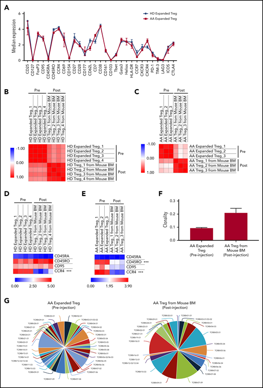Immune signatures and TCR clonality of the expanded Tregs before and after xenotransplantation into NSG-SGM3 mice. (A) CyTOF analysis shows the relative median expression of the 29 markers in HD (n = 3) and AA (n = 4) expanded total Tregs. (B) Heat map of similarity matrix between pre- (n = 4) and postinjection (n = 4) of HD-expanded Tregs based on 29 parameters, computed as Pearson correlation coefficient. (C) Heat map of similarity matrix between pre- (n = 3) and posttransplantation (n = 3) of AA-expanded Tregs into NSG-SGM3 mice based on 29 parameters, computed as Pearson correlation coefficient. (D) Heat map of CyTOF analysis shows the comparison of the median expression of markers that defined Treg-B (CD45RA, CD45RO, CD95, and CCR4) between pre- (n = 4) and posttransplanted (n = 4) HD-expanded Tregs. ***P ≤ .001. (E) Heat map shows the comparison of the median expression of Treg-B–specific markers (CD45RA, CD45RO, CD95, and CCR4) between pre- (n = 3) and posttransplanted (n = 3) AA-expanded Tregs. ***P ≤ .001. (F) Productive clonality of the TCR repertoires of AA-expanded Tregs before (n = 3) and after (n = 3) xenotransplantation into NSG-SGM3 mice. Values near 1 represent samples with 1 or a few predominant rearrangements (monoclonal or oligoclonal samples) dominating the observed repertoire. Clonality values near 0 represent more polyclonal samples. (G) Representative pie charts show the diversity of TCR Vβ CDR3 in AA-expanded Tregs before and after xenotransplantation into NSG-SGM3 mice.