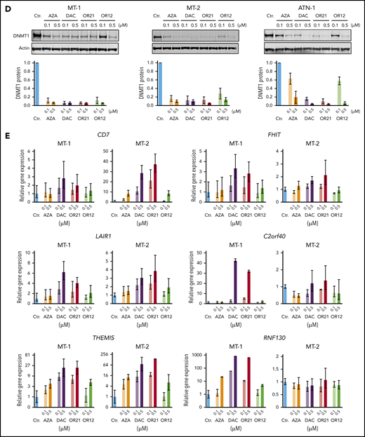 Anti-ATL effects of DNA demethylating agents in vitro. (A) Chemical structures and metabolic pathways of AZA, DAC, OR-1200 (OR12), and OR-2100 (OR21). (B) Fifty percent inhibitory concentration values of each compound in HTLV-1–infected T-cell lines treated with them for 4 days, determined by CCK-8 assay. Data are expressed as means of 3 independent experiments. (C) DNA methylation levels in LINE-1 regions determined by bisulfite pyrosequencing of HTLV-1–infected T-cell lines treated with the indicated compounds for 4 days. Data are expressed as means of 3 independent experiments with SD. (D) Immunoblots showing the levels of DNMT1 protein reduction in HTLV-1–infected T-cell lines after treatment with the indicated compounds for 4 days. Graphs show the mean fold-decrease (± SD) in DNMT1 protein compared with untreated cells, based on data from 3 independent experiments. (E) Gene expression levels of CD7, FHIT, C2orf40, THEMIS, LAIR1, and RNF130 in MT-1 and MT-2 cells after treatment with the indicated compounds.