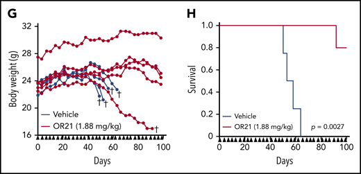 Anti-ATL effects of DAC and OR21 in an in vivo xenograft mouse model. (A) Experimental protocol for establishment of the MT-2 xenograft mouse model and treatment with DNA demethylating compounds. (B) Mean tumor volume in Balb/c Rag-2−/− Jak3−/− mice inoculated with MT-2 cells treated with vehicle (blue; n = 7); 1.25 mg/kg (5.5 µmol/kg) DAC (green; n = 7); 3.39 mg/kg (9.9 µmol/kg) OR21 (red; n = 7); or 1.34 mg/kg (5.5 µmol/kg) AZA (yellow; n = 7). Each compound and vehicle were injected intraperitoneally twice per week, as indicated by the black arrowheads. (C) Tumor weight and (D) DNA methylation levels at THEMIS promoter regions of xenograft tumors dissected from Balb/c Rag-2−/−Jak3−/− mice 22 days after first administration of compounds. Data are expressed as means with SDs (n = 7 per experimental group). Differences between subpopulations were evaluated using the Tukey-Kramer method (*P < .05). (E) Concentration of hemoglobin (HGB), complete blood counts, including white blood cells (WBC), red blood cells (RBC), platelets (PLT), and neutrophils, from BALB/c Rag2−/−Jak3−/− mice 22 days after first administration of compounds. (F) Experimental protocol for establishment of the patient-derived xenograft (PDX) and treatment with OR21. An ATL PDX mouse model was established by intraperitoneal inoculation of PBMCs from a patient with chronic ATL. PBMCs isolated from a patient with chronic ATL contained a much greater proportion of N subpopulation cells (77% of CD3+/CD4+ lymphocytes) than P subpopulation cells (6.5% of CD3+/CD4+ lymphocytes) determined by flow cytometric analysis. Balb/c Rag-2−/− Jak3−/− mice were intraperitoneally (IP) inoculated with PBMCs treated with either vehicle or 1.88 mg/kg OR21 twice per week. A relatively larger IP tumor containing human CD45+/mouseCD45−/CADM1+ cells (HTLV-1–infected human T cells) was formed in vehicle-treated mice ∼50 days after inoculation. (G) Body weights of individual mice and (H) Kaplan-Meier survival curves for the vehicle control (blue; n = 4) and 1.88 mg/kg OR21 (5.5 µmol/kg) (red; n = 5) treated groups. OR21 or vehicle was injected IP twice per week, as indicated by black arrowheads. Statistical significance was assessed using a 2-sided log-rank test.