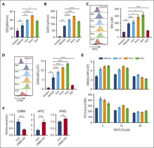 Targeting CRBN augments human CD8+ T-cell bioenergetics and MYC expression. OCRs (A) and ECARs (B) in activated human CD8+ T cells treated with vehicle or IM compounds for 5 days, as indicated, at a 10-µM dose of lenalidomide (Len), pomalidomide (Pom), and avadomide (Ava). (C) MYC protein levels in unstimulated (Unstim) and anti-CD3+anti-CD28–activated human CD8+ T cells treated with IM compounds (Len, Pom or Ava; 10 µM) for 5 days as detected by flow cytometry. JQ1 (a BET inhibitor) was used to show staining specificity for MYC in these experiments. (D) CD98 surface expression in activated human CD8+ T cells treated with IM compounds for 5 days. (E) Glucose uptake (top) and cell size (bottom) of activated (treated with anti-CD3+anti-CD28) human CD8+ T cells treated with IM compounds, with or without the MYC/MAX dimerization inhibitor 10074-G4, as measured using the fluorescent glucose analogue 2-NBDG (top) or forward scatter area (FSC-A, bottom) by flow cytometry. (F) Resting CD8+ T cells, enriched from healthy donor peripheral blood mononuclear cell (PBMCs), and complexed ribonucleoproteins (CRBN gRNAs+CAS9) were mixed with 4 × 106 CD8+ T cells, resuspended in primary cell solution, and nucleoporated. After nucleoporation, the cells were rested for 48 hours and then activated with anti-CD3+anti-CD28. After 5 days, the cells were assessed for levels of CRBN, MYC, and IFNg mRNA vs B2M transcripts by qRT-PCR. All results are representative of at least 2 independent experiments (excluding the CRISPR experiments). For statistical comparisons, see supplemental Table 5. n.s., not significant; *P < .05; **P < .01; ****P < .0001.