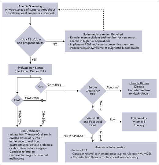 A proposed algorithm for the detection, evaluation, and management of anemia in the perioperative setting. Whenever treatment of anemia of iron deficiency or inflammation is initiated, we routinely add vitamin B12 and folic acid, as well to meet the potential increased demand. The provided algorithm is not intended to be all-inclusive and, depending on the availability, other tests and measurements (eg, soluble transferrin receptor) may be used to assist in making the diagnosis.21-23CHr, reticulocyte hemoglobin concentration; ESA, erythropoiesis-stimulating agent; GFR, glomerular filtration rate; Hgb, hemoglobin; HM, hematologic malignancy; MDS, myelodysplastic syndrome; PBM, patient blood management; SF, serum ferritin; TSAT, transferrin saturation.