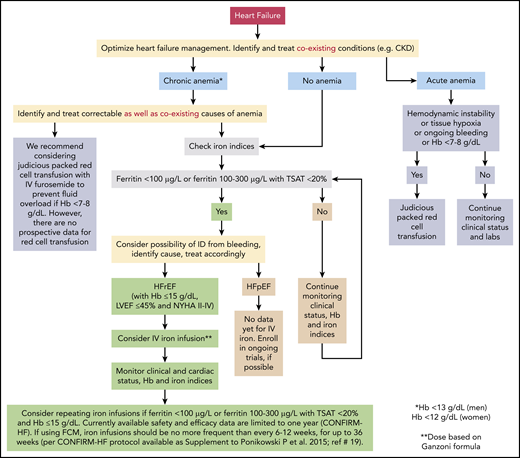 Evidence-based approach to treating anemia and ID in patients with HF. The figure represents our recommended approach to evaluation and treatment of anemia and/or ID in patients with HF. Supporting evidence, where available, is discussed in detail in the text. Since trials of IV iron did not include patients with Hb >15 g/dL, LVEF >45%, or NHYA class I, we do not recommend administering IV iron to such patients. Data for IV iron in patients with NYHA class IV are limited. There are no currently available prospective data on the safety and efficacy of IV iron administration beyond the last time point in the CONFIRM-HF trial (36 weeks); therefore, we do not recommend routinely administering IV iron beyond 36 weeks. See Table 1 for information and discussion about various IV iron preparations. In 1 study, the prevalence of intestinal malignancies was similar in iron-deficient HF patients with or without anemia (9.3% vs 10.5%, respectively; P = .55). Prevalence was lower in HF patients without ID, with or without anemia (6% and 1.5%, respectively).42 In a different population, gastrointestinal malignancies were found in 2.6% and 1.5% patients with and without anemia, respectively.24 In our opinion, HF patients with ID (with or without anemia) should be evaluated for possible sources of bleeding; those who are anemic but not iron deficient should be evaluated on a case-by-case basis. Routine age-, sex-, and risk-based cancer screening remains appropriate for all patients.