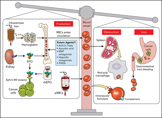 Professional illustration by Patrick Lane, ScEYEnce Studios
