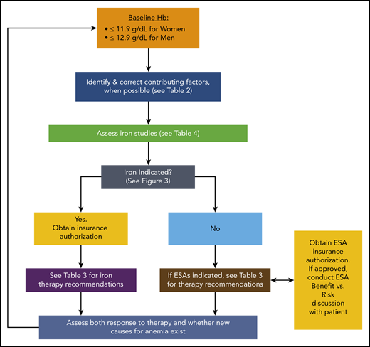 An overview of our approach to the diagnosis and management of cancer-associated anemia. For more detail regarding specific steps, see the referenced tables and figures.