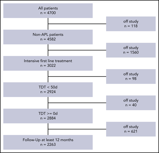 Patient selection for the present analysis. APL, acute promyelocytic leukemia.