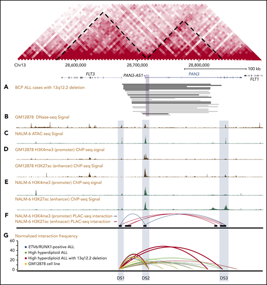 Genetic mapping and epigenetic landscape of the 13q12.2 locus. Map of the FLT3 and PAN3 loci in 13q12.2. Predicted topologically associating domains based on data from the lymphoblastic GM12878 cell line are indicated by diagonal dashed lines. (A) Hemizygous deletions identified in 27 BCP ALL samples by WGS (black) or SNP array or WES (gray). The violet square corresponds to the minimally deleted region. (B) DNase-seq signal based on the GM12878 cell line. (C) ATAC-seq signal based on the NALM-6 cell line. (D) ChIP-seq of histone modifications (H3K27ac and H3K4me3) based on the GM12878 (E) and the NALM-6 cell lines. (F) H3K27ac- and H3K4me3-enriched PLAC-seq interaction map based on the NALM-6 cell line. (G) Relative interaction frequencies in 13q12.2 in 6 primary ALL cases and the GM12878 cell line based on Hi-C, where higher values on the y-axis correspond to stronger interaction. Increased interactions with the enhancer element DS3 are seen in the case with 13q12.2 deletion.