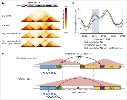 Changes in TADs and enhancer hijacking in ALL with 13q12.2 deletion. (A) Juicer KR-normalized Hi‐C interaction heatmaps at 13q12.2 (chr13:28.0 to 29.5 Mb) of the GM12878 cell line, the NALM-6 cell line, and 2 primary high-hyperdiploid ALL cases (25‐kb resolution). The black arrows indicate the TAD boundary between DS1 and DS3 and the red arrow indicates the disruption of this TAD boundary in the case with 13q12.2 deletion (case 3). (B) Insulation score profile at 13q12.2 derived from chromatin interaction sequencing of 6 primary ALL cases. The case with 13q12.2 deletion (case 3) displays a deviant insulation score in this region (blue rectangle), corresponding to aberrant chromatin organization likely due to loss of a TAD boundary. (C) Schematic figure of chromatin remodeling and enhancer hijacking in ALL with 13q12.2 deletion. In normal hematopoietic cells, FLT3 expression is primarily controlled by interactions between the FLT3 promoter element DS1 with the DS2 enhancer located in the 5′ region of PAN3 (top panel). In cells with 13q12.2 deletion, a TAD boundary is lost together with DS2, resulting in increased interactions between DS1 and the upstream enhancer element DS3, thereby upregulating FLT3 messenger RNA expression (bottom panel).