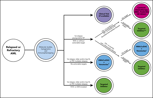 Schematic capturing our current general approach for relapsed or refractory patients with AML with some factors guiding the clinical decision process. Risk stratification by 2017 ELN criteria.14 Approved targeted inhibitors include gilteritinib (FLT3), ivosidenib (IDH1), enasidenib (IDH2). *Assuming patient has already received intensive consolidation. **Randomized phase 3 data are only currently available for gilteritinib,6 not ivosidenib or enasidenib. †HMA alone if venetoclax unavailable. FLAG-IDA, fludarabine/cytarabine/granulocyte colony-stimulating factor/idarubicin; HiDAC, high-dose cytarabine; HMA, hypomethylating agent; IDH, isocitrate dehydrogenase; LoDAC, low-dose cytarabine; MEC, mitoxantrone/etoposide/cytarabine; PIF, primary induction failure.