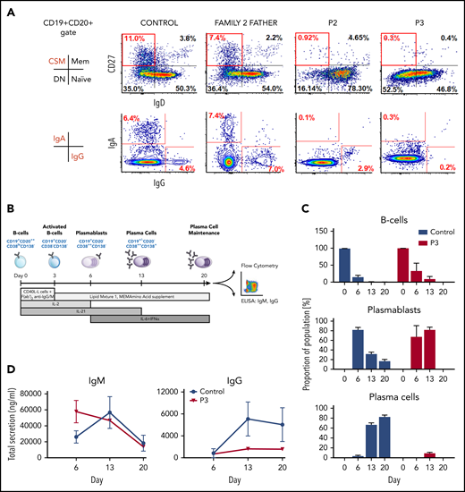 Failure of TET2-deficient B cells to undergo class-switch recombination in vivo, generate mature plasma cells, and produce IgG in vitro. (A) Representative flow cytometry dot plots showing almost absent class-switched memory (CD19+CD20+CD27+IgD−) B cells and block in expression of surface IgA and IgG in patients, as detected in peripheral blood B cells compared with healthy control and family 2 heterozygous relative. (B) Scheme showing in vitro B-cell differentiation strategy after mimicking a T-cell–dependent immune stimulus. (C) Flow cytometric profile of P3 and healthy control in vitro–differentiating primary B cells, indicating a defect in B-cell maturation and impaired cell survival due to loss of TET2 function. (D) Secreted levels of IgM and IgG detected by enzyme-linked immunosorbent assay during B-cell differentiation showed a failure of class-switch recombination in patient cells. Data are mean ± SD from 2 independent experiments.