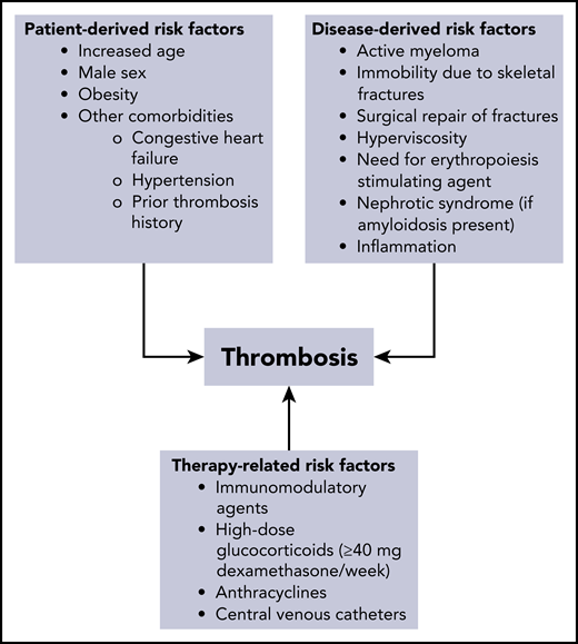 Potential factors contributing to increased risk of thrombosis in MM.