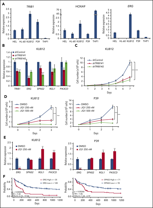 An important role for the TRIB1/ERG axis in human AML. (A) Quantitative RT-PCR for TRIB1, HOXA9, and ERG in human AML cell lines. (B) Downregulation of TRIB1/HOXA9 downstream genes in KU812 cells by TRIB1 silencing. Relative gene expression to shControl in KU812 cells. (C) Growth inhibition by TRIB1 knockdown. Cell numbers of KU812 cells treated with 2 different shRNA lentivirus. (D) KU812 and P39 cells were treated with JQ1 at the indicated dosages for 3 days. Cell numbers at the indicated time points are shown. (E) Effects of JQ1 on gene expression in KU812 and P39 cells. Relative mRNA expression of the indicated genes is shown. (F) Kaplan-Meier survival curves for patients for patients with normal-karyotype AML64 between high and low expression of ERG (left) or SPNS2 (right). Significances were measured by a log-rank test. Hazard ratios (HRs) and 95% confidence intervals (CIs) are indicated. *P < .05, **P < .01, ***P < .001.