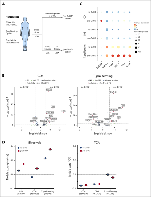 Single-cell RNAseq of AHSCT patient-derived PBMCs. (A) Diagram depicting sample selection. PBMCs of 2 patients, one of which developed GVHD shortly after sample collection (pre-GVHD) and one who did not (no GVHD), were thawed; red blood cells were lysed, and cell viability was assessed. Single-cell preparation was performed using the Chromium Next GEM Single Cell 5′ Library & Gel Bead Kit (10× Genomics). Sequenced reads were aligned to the human GRCh38 reference sequence provided by 10× Genomics. Clustering and visualization were performed in R using the Seurat package (v3.1.1) with integrated datasets. (B) Volcano plot of the differential gene expression within 1 cluster comparing the no GVHD vs pre-GVHD sample for the CD4 cluster (left) and T_proliferating cluster (right). Genes with a fold change >1.5 and adjusted P value <.01 are highlighted in red. (C) Dot plot visualizing the scaled gene expression level of key glycolysis enzymes for the CD4, CD8, and T_proliferating cluster. (D) Comparison of the module scores for Glycolysis (left) and TCA (right) between both patients for CD4, CD8, and proliferating T cells. The analyzed cell numbers for each cluster are indicated in parentheses. Data displayed as mean ± SEM. FC, fold change; GI, gastrointestinal; MUD, matched unrelated donor; NS, not significant; PBHSCT, peripheral blood hematopoietic stem cell transplantation.