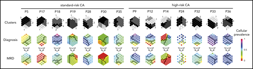 Therapy-induced selection of MRD clones in standard- vs high-risk MM. Suprahexagonal maps showing mutation metaclusters in black and white and changes in cellular prevalence between diagnosis and MRD tumor cells, inferred by PyClone based on detectable mutations.