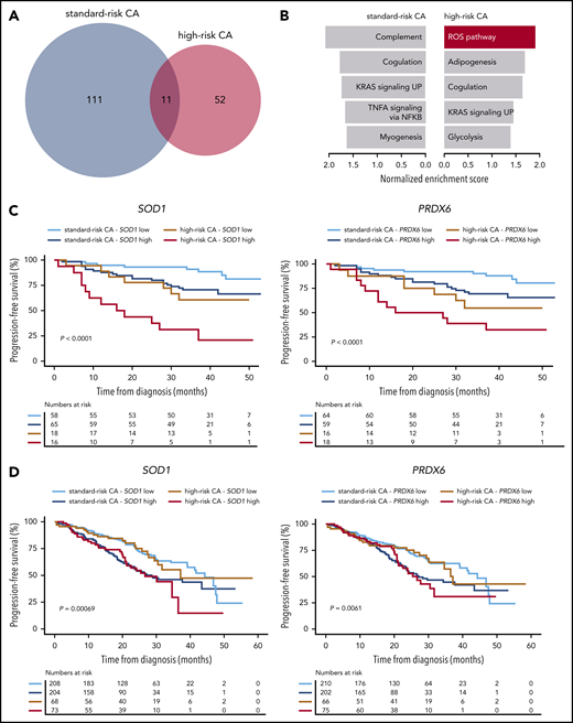 Antioxidative gene circuitries are upregulated in MRD cells with high-risk CAs. (A) The number of differentially expressed genes between diagnostic and MRD tumor cells of patients with standard- vs high-risk (n = 26 and 14, respectively) CAs. (B) The Hallmarks of Cancer data set was used for Gene Set Enrichment Analysis (GSEA), based on gene expression in diagnostic and MRD tumor cells of patients with standard- and high-risk CAs. The most enriched pathways (nominal P < .1) are represented for each group (top). (C) PFS according to the messenger RNA (mRNA) expression (high or low, if above or below the median expression) of SOD1 and PRDX6 in diagnostic tumor cells of patients with MM with standard- and high-risk CAs enrolled in the PETHEMA/GEM2012MENOS65 study (n = 157). ***P < .001 by 2-sided log-rank test. (D) PFS according to the mRNA expression (high or low if above or below the median expression) of SOD1 and PRDX6 in diagnostic tumor cells of patients with MM with standard- and high-risk CAs who were enrolled in the CoMMpass study (N = 553). *P < .01, by 2-sided log-rank test.