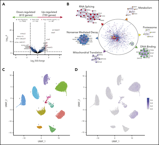 Transcriptional profile of MRD clones. (A) Volcano plot based on RNA-seq of paired diagnostic and MRD tumor cells (n = 40). Each dot corresponds to an individual gene. Differentially expressed genes (150 upregulated and 612 downregulated in MRD cells) with a log2 fold change ≤2 are shown in blue, and differentially expressed genes with a log2 fold change >2 are in red. Padj < .05. (B) Functional networks based on genes deregulated in MRD cells. Protein-protein physical interactions based on the 762 differentially expressed genes were identified according to the BioGrid, InWe_IMM, and OmniPath databases. The algorithm MCODE (Minimal Common Oncology Data Elements) was used for identification of densely connected networks. (C) UMAP (Uniform Manifold Approximation and Projection) representation of single bone marrow tumor plasma cells (n = 21 991) isolated by FACS from 11 patients with newly diagnosed MM. Each patient is represented by a unique color and number. (D) CSC scores per cell are projected onto UMAP plots.