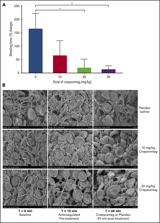 Change in bleeding time (liver laceration model). (A) Percentage change in bleeding time from baseline when ciraparantag was administered in increasing doses after edoxaban treatment (1 mg/kg) of rats. (B) Scanning electron micrographs of WBCT clots immediately before (T = 0 min) and after (T = 15 and 60 min) IV edoxaban (0.5 mg/kg). Ciraparantag (10 or 20 mg/kg IV) or placebo was administered at the 15-minute time point.