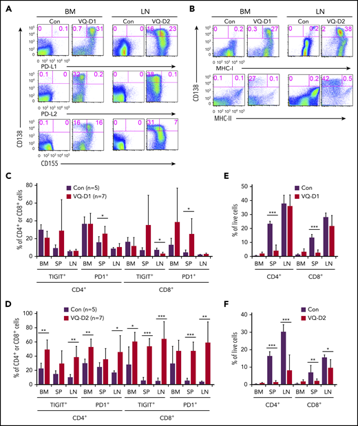 PD-L1/PD1 and CD155/TIGIT immune-checkpoint pathways are preserved in the VQ myeloma model. BM cells (1 × 106) from control (IgG1-Cre), VQ-D1, and VQ-D2 myeloma mice (>6 passages) were transplanted into sublethally irradiated recipients as described in Figure 3. (A-B) Flow cytometric analysis of CD138, PD-L1, PD-L2, CD155 (A), MHC-I, and MHC-II (B) on BM of VQ-D1 recipients and LN cells of VQ-D2 recipients. Representative density plots are shown. (C-D) Quantification of PD1+ and TIGIT+ T cells (CD8+ and CD4+) in BM, spleen (SP), and LN from age-matched control, VQ-D1 (C), and VQ-D2 (D) recipients. (E-F) Quantification of CD8+ and CD4+ T cells in BM, SP, and LN of control, VQ-D1 (E), and VQ-D2 (F) recipients. *P < .05; **P < .01; ***P < .001.