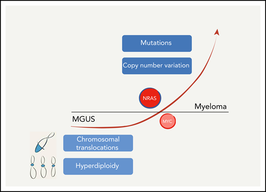 Wen et al have generated a mouse that models one of the leading genetic lesions present in myeloma, NRASQ61R, pushing MGUS toward a more aggressive stage of the disease. However, several other genetic lesions have so far eluded modeling. These alterations, central for the development of the disease, are present as early as in the MGUS phase, including hyperdiploidy and several hallmark chromosomal translocations, which deregulate the expression of various genes (cyclins, MMSET, MAF, and others), or appear in later stages of the disease, elicited by somatic mutations or copy number aberrations, affecting a large number of oncogenes and tumor-suppressor genes.
