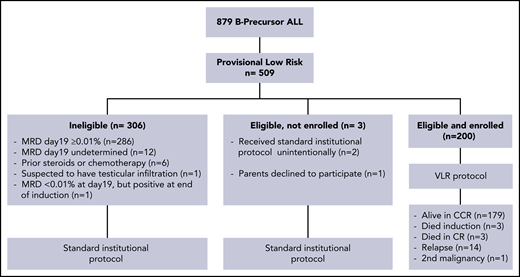 Consort flow-chart diagram of patients with B-progenitor acute lymphoblastic leukemia. CCR, continuous complete remission.