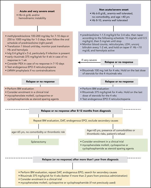 Therapeutic flow-chart of wAIHA. This figure illustrates the therapy lines of wAIHA. Responses include complete responses (CR) and partial responses (PR); CR is defined by normalization of Hb and hemolytic markers (unconjugated bilirubin, LDH, haptoglobin, and reticulocytes); PR is defined by Hb >10 g/dL or at least an increase by >2 g/dL, with or without biochemical resolution of hemolysis; lack of response or relapse is defined as Hb <10 g/dL or at least 2 g/dL decrease with alteration of hemolytic markers. EPO, erythropoietin; LMWH, low-molecular-weight heparin; PEX, plasma exchange.