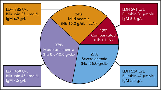 Severity of anemia in 232 patients with cold agglutinin disease. Hb levels correlate with mean values of lactate dehydrogenase (LDH) and bilirubin but not with IgM. LLN, lower limit of normal. Based on data from Berentsen et al.1