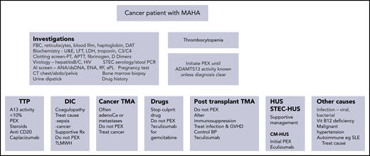 Summary of the laboratory features in patients with TMA. A differential diagnosis of the causes of a TMA are included, focusing specifically on cancer or its treatment and a summary of treatments beneficial in the individual subgroups. abdo, abdomen; adenoCa, adenocarcinoma; aPL, antiphospholipid; DAT, direct antiglobulin test; dsDNA, double-stranded DNA; ENA, extractable nuclear antigen; FBC, full blood count; GVHD, graft-versus-host disease; LMWH, low-molecular-weight heparin; PCR, polymerase chain reaction; RF, rheumatoid factor; SLE, systemic lupus erythematosus; STEC, Shiga toxin-producing Escherichia coli; U&E, urea and electrolytes; Vit, vitamin.